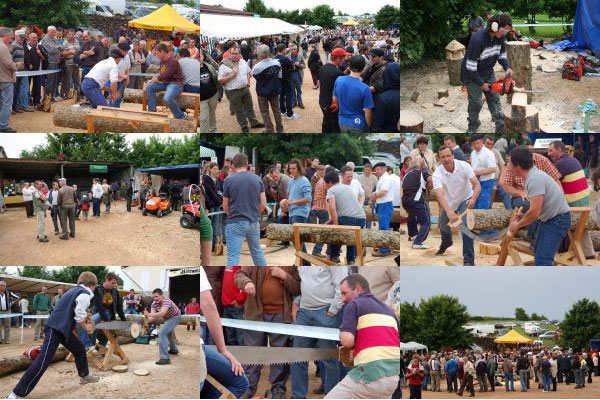 fete du bois 2008